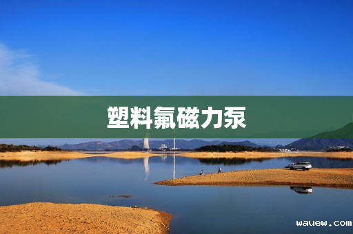 塑料氟磁力泵 塑料氟磁力泵