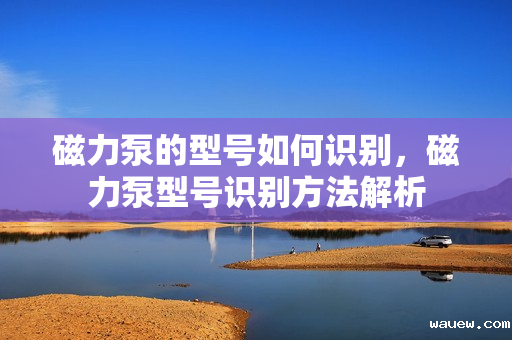 磁力泵的型号如何识别,磁力泵型号识别方法解析 磁力泵的型号如何识别,磁力泵型号识别方法解析
