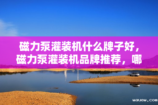 磁力泵灌装机什么牌子好,磁力泵灌装机品牌推荐,哪个牌子更胜一筹? 磁力泵灌装机什么牌子好,磁力泵灌装机品牌推荐,哪个牌子更胜一筹?