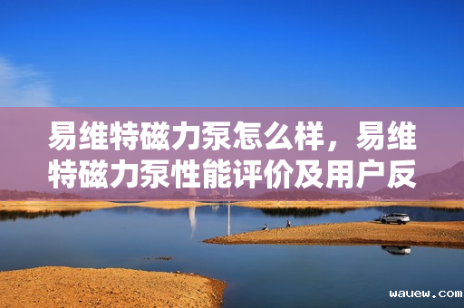 易维特磁力泵怎么样,易维特磁力泵性能评价及用户反馈 易维特磁力泵怎么样,易维特磁力泵性能评价及用户反馈