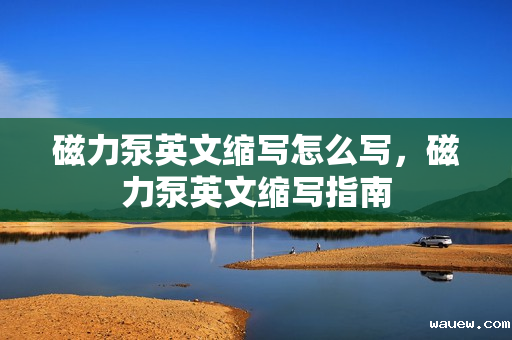 磁力泵英文缩写怎么写,磁力泵英文缩写指南 磁力泵英文缩写怎么写,磁力泵英文缩写指南