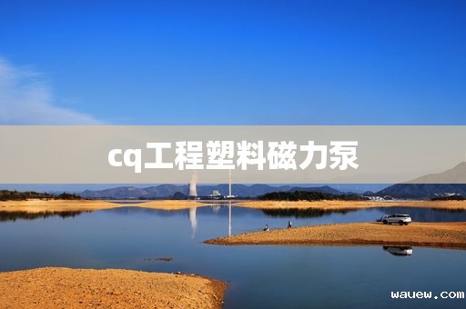 cq工程塑料磁力泵 cq工程塑料磁力泵