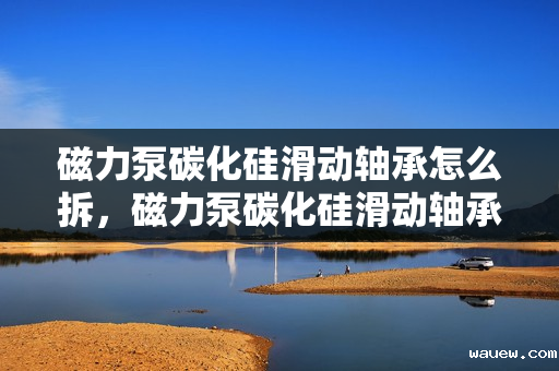 磁力泵碳化硅滑动轴承怎么拆,磁力泵碳化硅滑动轴承拆卸指南 磁力泵碳化硅滑动轴承怎么拆,磁力泵碳化硅滑动轴承拆卸指南