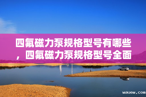 四氟磁力泵规格型号有哪些,四氟磁力泵规格型号全面解析 四氟磁力泵规格型号有哪些,四氟磁力泵规格型号全面解析