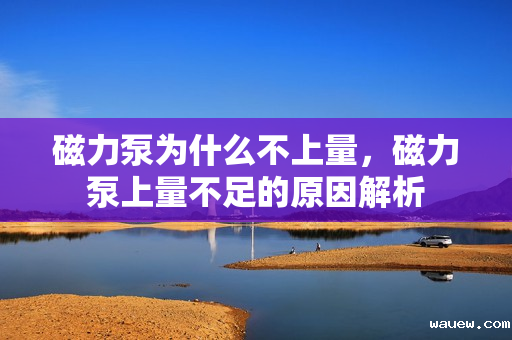 磁力泵为什么不上量,磁力泵上量不足的原因解析 磁力泵为什么不上量,磁力泵上量不足的原因解析