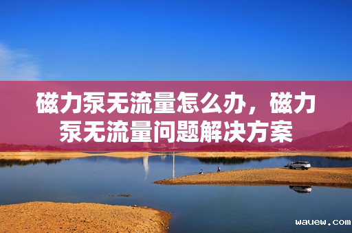 磁力泵无流量怎么办,磁力泵无流量问题解决方案 磁力泵无流量怎么办,磁力泵无流量问题解决方案