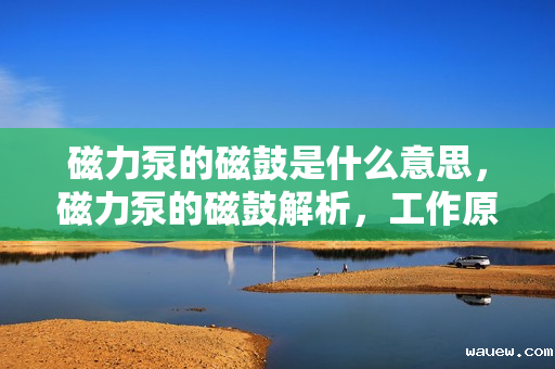 磁力泵的磁鼓是什么意思,磁力泵的磁鼓解析,工作原理与关键作用 磁力泵的磁鼓是什么意思,磁力泵的磁鼓解析,工作原理与关键作用