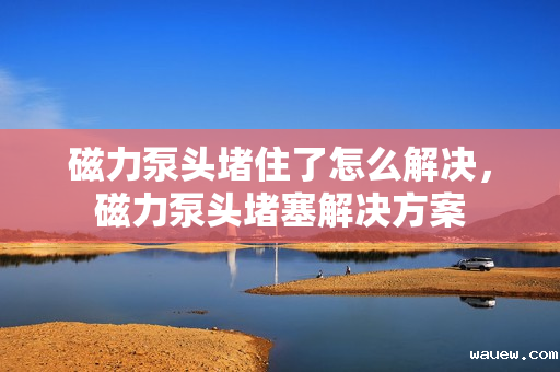 磁力泵头堵住了怎么解决,磁力泵头堵塞解决方案 磁力泵头堵住了怎么解决,磁力泵头堵塞解决方案