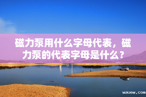 磁力泵用什么字母代表,磁力泵的代表字母是什么? 磁力泵用什么字母代表,磁力泵的代表字母是什么?