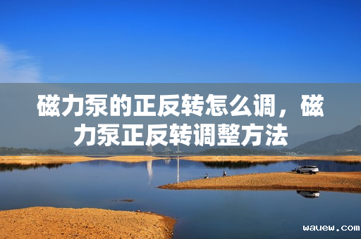 磁力泵的正反转怎么调,磁力泵正反转调整方法 磁力泵的正反转怎么调,磁力泵正反转调整方法