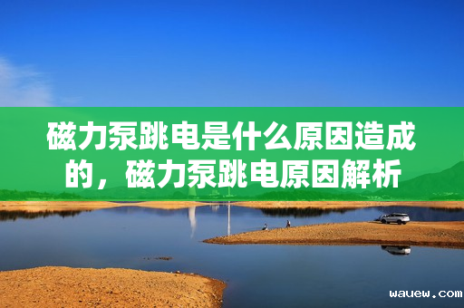 磁力泵跳电是什么原因造成的,磁力泵跳电原因解析 磁力泵跳电是什么原因造成的,磁力泵跳电原因解析