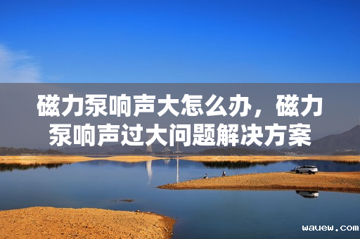 磁力泵响声大怎么办,磁力泵响声过大问题解决方案 磁力泵响声大怎么办,磁力泵响声过大问题解决方案