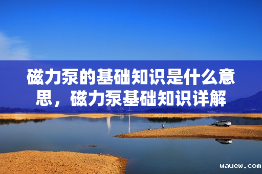 磁力泵的基础知识是什么意思,磁力泵基础知识详解 磁力泵的基础知识是什么意思,磁力泵基础知识详解