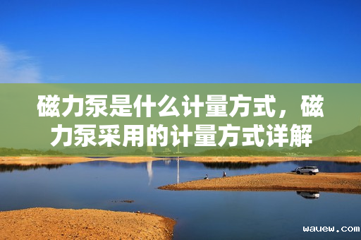 磁力泵是什么计量方式,磁力泵采用的计量方式详解 磁力泵是什么计量方式,磁力泵采用的计量方式详解