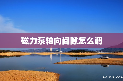 磁力泵轴向间隙怎么调 磁力泵轴向间隙怎么调