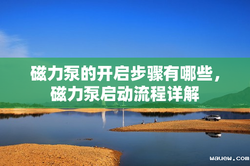 磁力泵的开启步骤有哪些,磁力泵启动流程详解 磁力泵的开启步骤有哪些,磁力泵启动流程详解