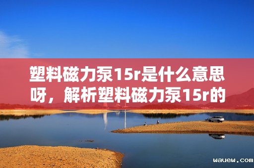 塑料磁力泵15r是什么意思呀,解析塑料磁力泵15r的含义与特点 塑料磁力泵15r是什么意思呀,解析塑料磁力泵15r的含义与特点