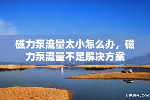 磁力泵流量太小怎么办,磁力泵流量不足解决方案 磁力泵流量太小怎么办,磁力泵流量不足解决方案