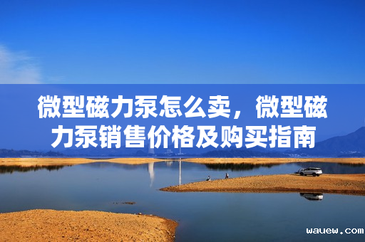 微型磁力泵怎么卖,微型磁力泵销售价格及购买指南 微型磁力泵怎么卖,微型磁力泵销售价格及购买指南