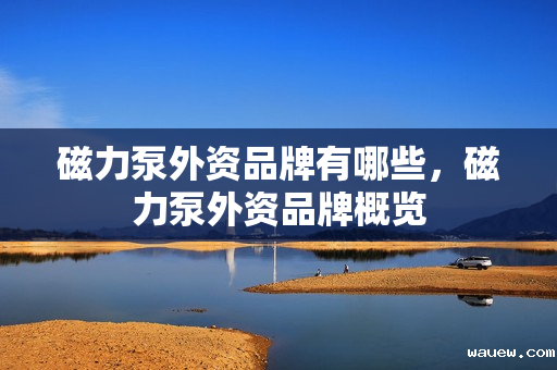 磁力泵外资品牌有哪些,磁力泵外资品牌概览 磁力泵外资品牌有哪些,磁力泵外资品牌概览