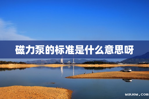 磁力泵的标准是什么意思呀 磁力泵的标准是什么意思呀