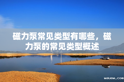 磁力泵常见类型有哪些,磁力泵的常见类型概述 磁力泵常见类型有哪些,磁力泵的常见类型概述