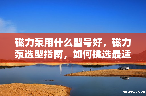 磁力泵用什么型号好,磁力泵选型指南,如何挑选最适合的型号 磁力泵用什么型号好,磁力泵选型指南,如何挑选最适合的型号