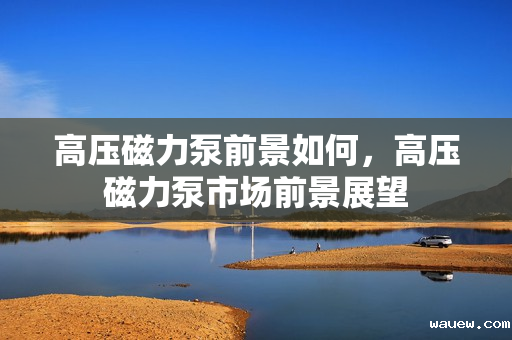 高压磁力泵前景如何,高压磁力泵市场前景展望 高压磁力泵前景如何,高压磁力泵市场前景展望