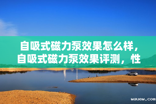 自吸式磁力泵效果怎么样,自吸式磁力泵效果评测,性能卓越,高效稳定 自吸式磁力泵效果怎么样,自吸式磁力泵效果评测,性能卓越,高效稳定
