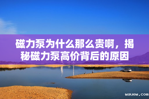 磁力泵为什么那么贵啊,揭秘磁力泵高价背后的原因 磁力泵为什么那么贵啊,揭秘磁力泵高价背后的原因