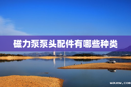 磁力泵泵头配件有哪些种类 磁力泵泵头配件有哪些种类