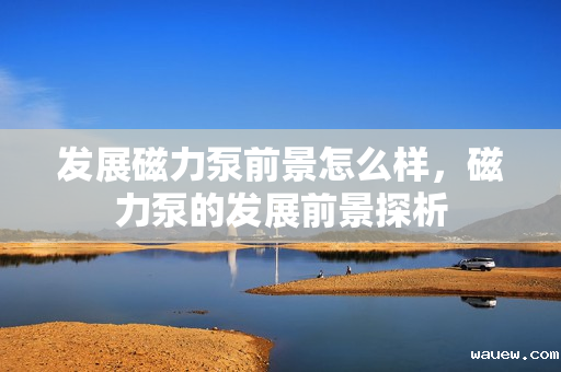 发展磁力泵前景怎么样,磁力泵的发展前景探析 发展磁力泵前景怎么样,磁力泵的发展前景探析