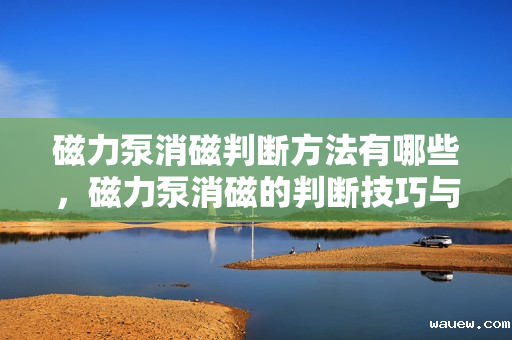 磁力泵消磁判断方法有哪些,磁力泵消磁的判断技巧与方法 磁力泵消磁判断方法有哪些,磁力泵消磁的判断技巧与方法