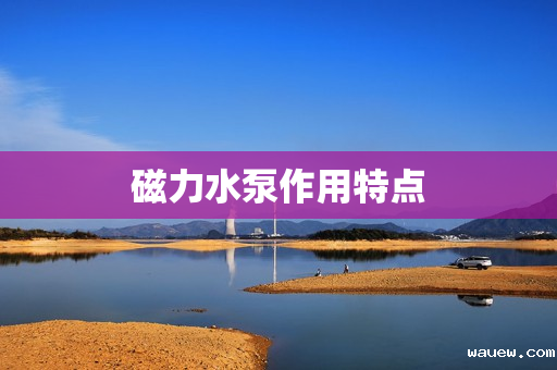 磁力水泵作用特点 磁力水泵作用特点