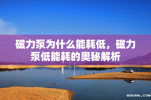 磁力泵为什么能耗低,磁力泵低能耗的奥秘解析 磁力泵为什么能耗低,磁力泵低能耗的奥秘解析