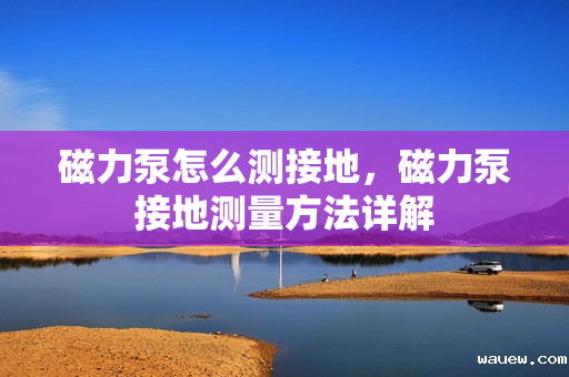 磁力泵怎么测接地,磁力泵接地测量方法详解 磁力泵怎么测接地,磁力泵接地测量方法详解