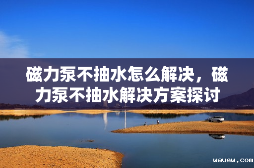 磁力泵不抽水怎么解决,磁力泵不抽水解决方案探讨 磁力泵不抽水怎么解决,磁力泵不抽水解决方案探讨