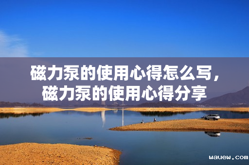 磁力泵的使用心得怎么写,磁力泵的使用心得分享 磁力泵的使用心得怎么写,磁力泵的使用心得分享