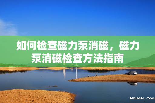 如何检查磁力泵消磁,磁力泵消磁检查方法指南 如何检查磁力泵消磁,磁力泵消磁检查方法指南