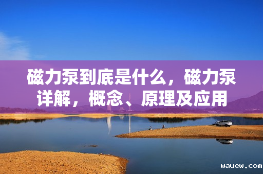 磁力泵到底是什么,磁力泵详解,概念、原理及应用 磁力泵到底是什么,磁力泵详解,概念、原理及应用