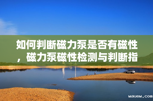 如何判断磁力泵是否有磁性,磁力泵磁性检测与判断指南 如何判断磁力泵是否有磁性,磁力泵磁性检测与判断指南