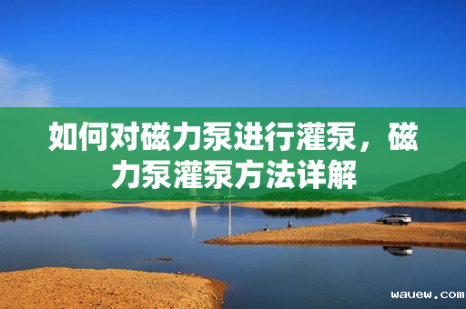 如何对磁力泵进行灌泵,磁力泵灌泵方法详解 如何对磁力泵进行灌泵,磁力泵灌泵方法详解