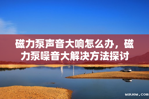 磁力泵声音大响怎么办,磁力泵噪音大解决方法探讨 磁力泵声音大响怎么办,磁力泵噪音大解决方法探讨
