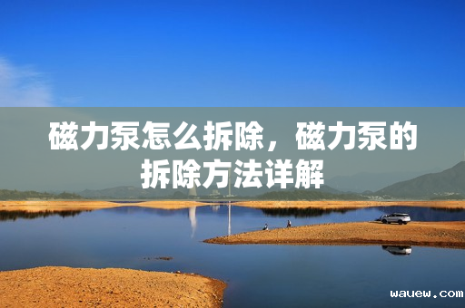 磁力泵怎么拆除,磁力泵的拆除方法详解 磁力泵怎么拆除,磁力泵的拆除方法详解