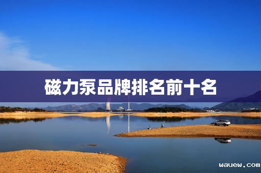 磁力泵品牌排名前十名 磁力泵品牌排名前十名