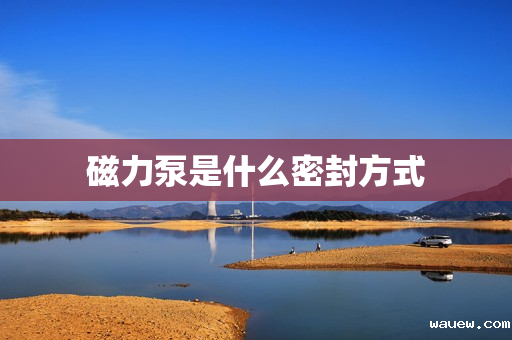 磁力泵是什么密封方式 磁力泵是什么密封方式