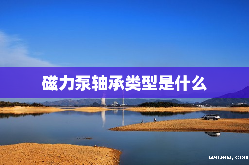 磁力泵轴承类型是什么 磁力泵轴承类型是什么