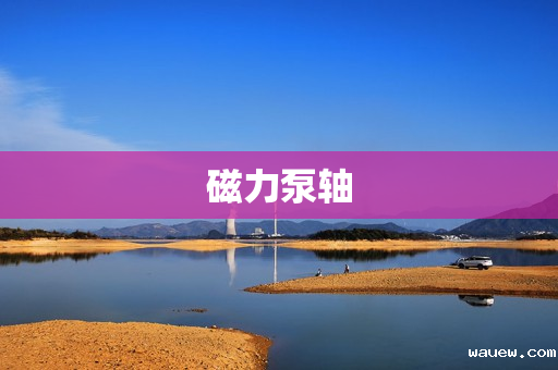 磁力泵轴 磁力泵轴