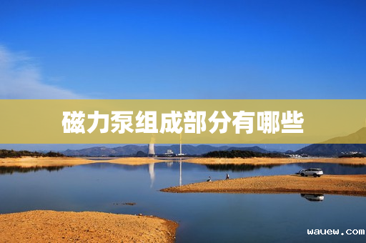 磁力泵组成部分有哪些 磁力泵组成部分有哪些