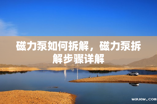 磁力泵如何拆解,磁力泵拆解步骤详解 磁力泵如何拆解,磁力泵拆解步骤详解